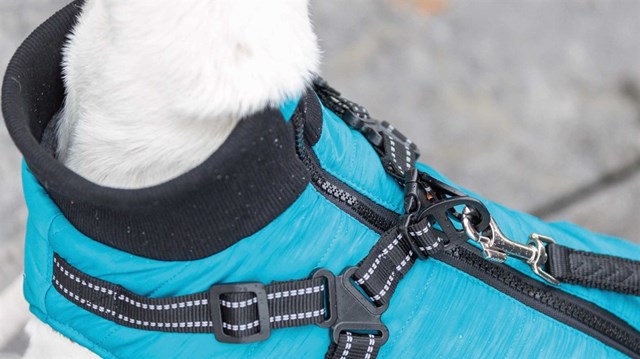 Pontis Dog Coat with integrated harness - Aqua