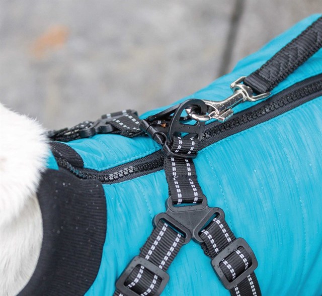 Pontis Dog Coat with integrated harness - Aqua