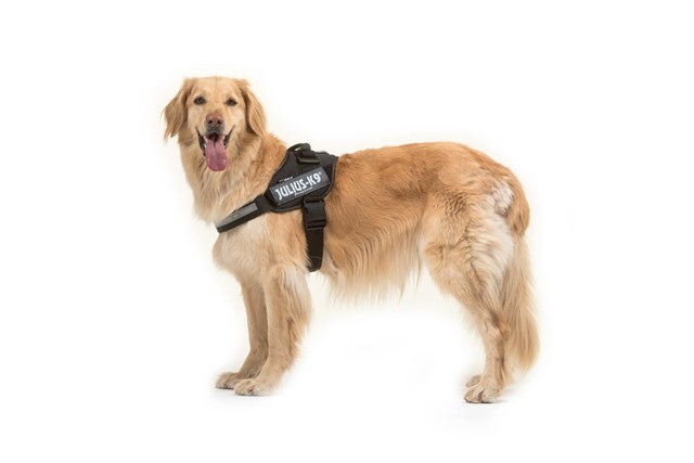 K9 IDC Hundesele Svart
