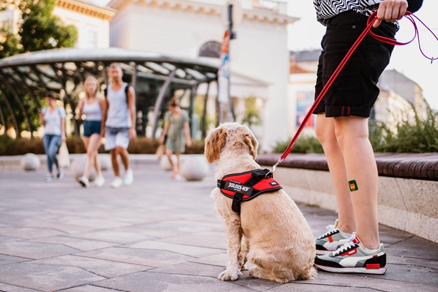 K9 IDC Hundesele Rød