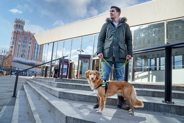 K9 IDC Hundesele UV Neongrønn