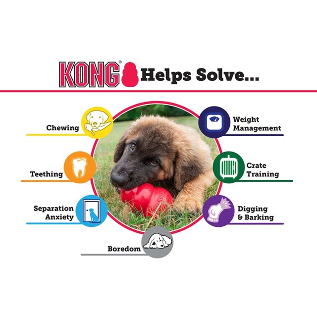 Kong Puppy Small - Turkis