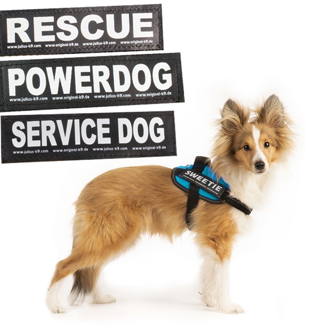 K9 DESIGN DITT EGET BORRELÅSMERKE