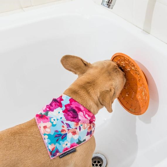 LickiMat Splash Lyseblå Hundeskål Med Sugekopp