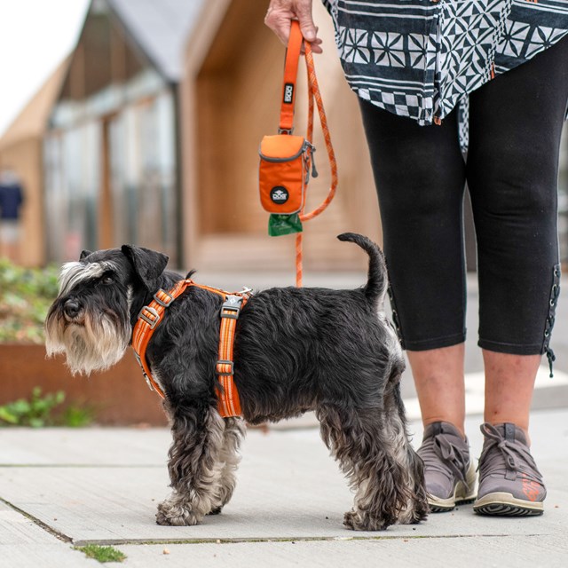 Comfort Walk Air 3.0 Harness Orange Sun