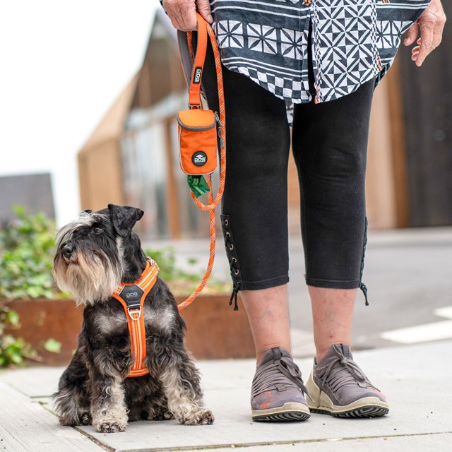 Comfort Walk Air 3.0 Harness Orange Sun