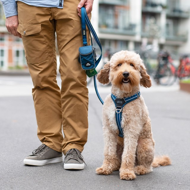 Comfort Walk Air 3.0 Harness Ocean Blue