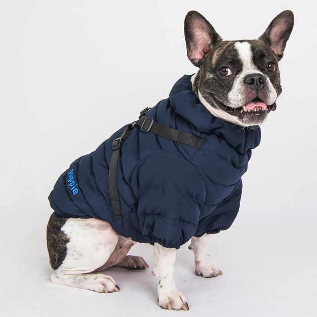 Soft Jumper Navy Hundedekken Med Integrert Sele