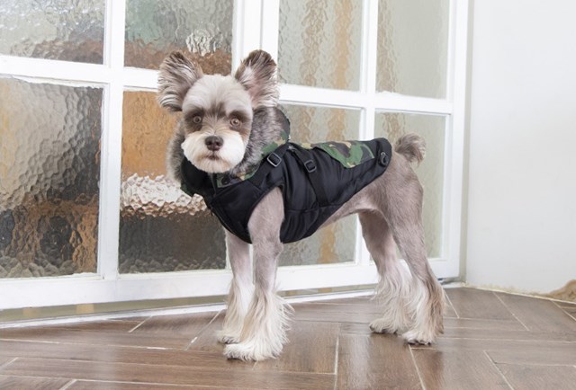 Orson Black Camo - Hundedekken med Lue og Integrert Sele