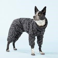 Paikka Winter Suit for Dogs - BLACK