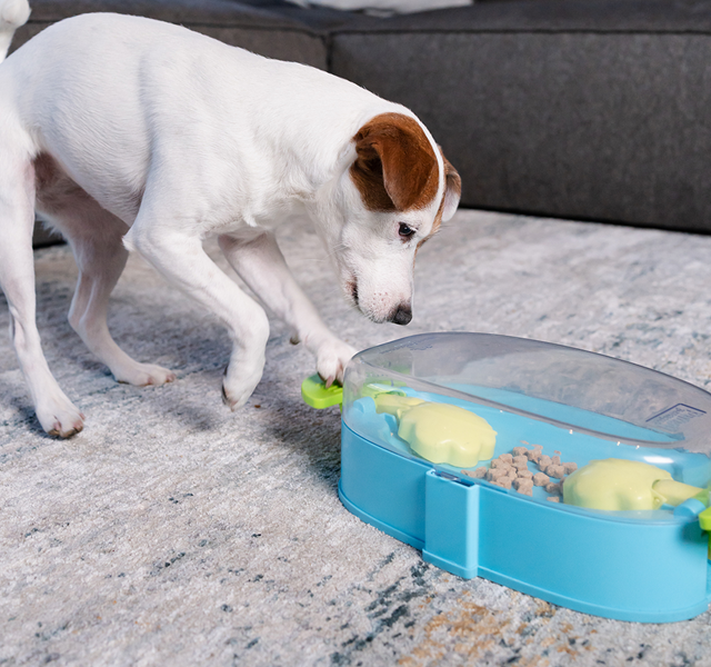 Nina Ottosson Paw N Play Aktiveringsleke