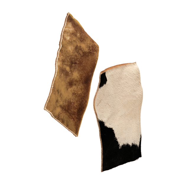 Njord Pet Beef Chips 5-pack