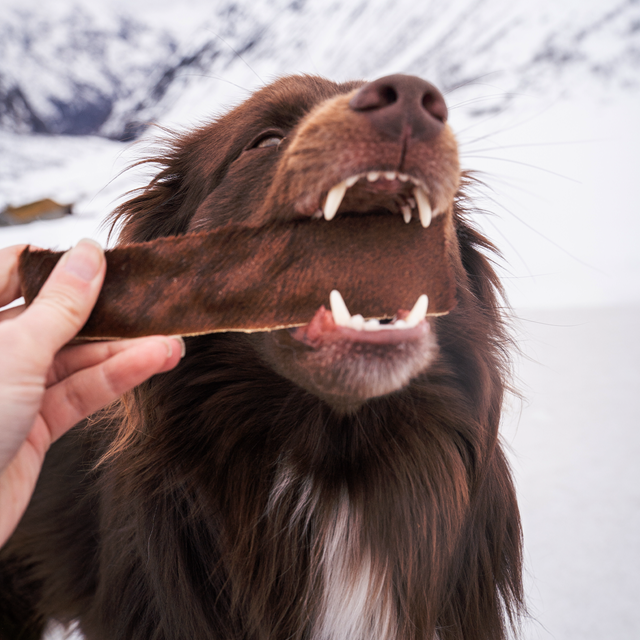 Njord Pet Beef Strips