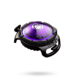 Orbiloc Safety Light - Purple