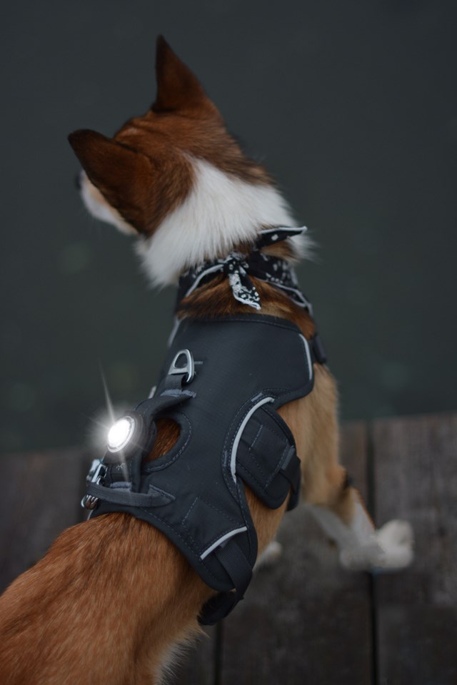 Orbiloc Safety Light Hvit