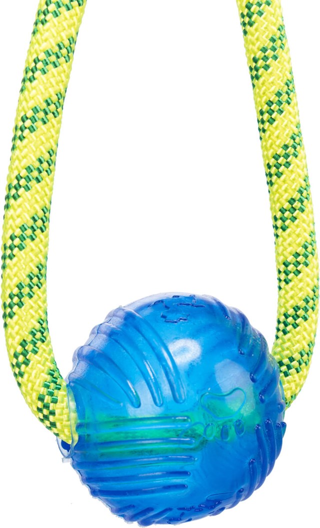 Aqua Toy with ball