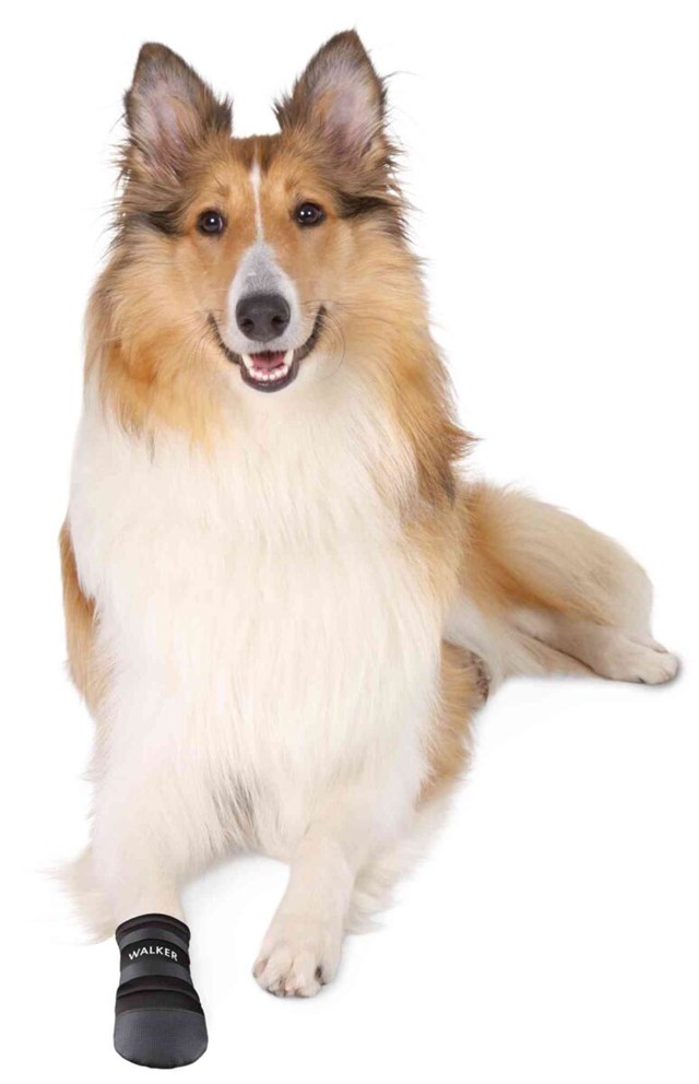 Hundskor Walker Care 2 pcs