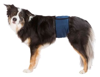 Nappies For Male Dogs, Washable