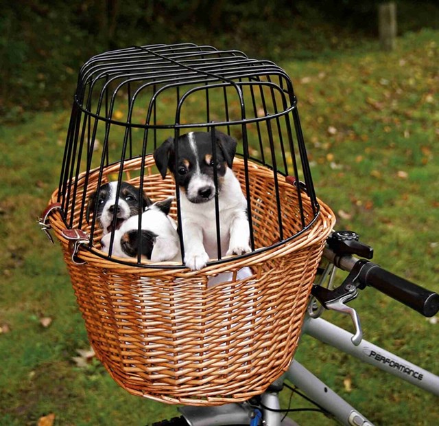 Front Dog Bicycle Basket - Brown