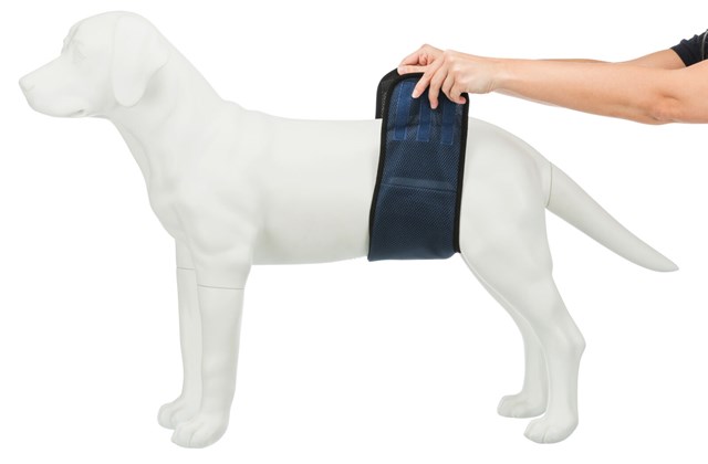 Nappies for Male Dogs, washable