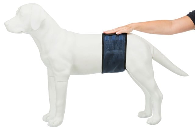 Nappies for Male Dogs, washable