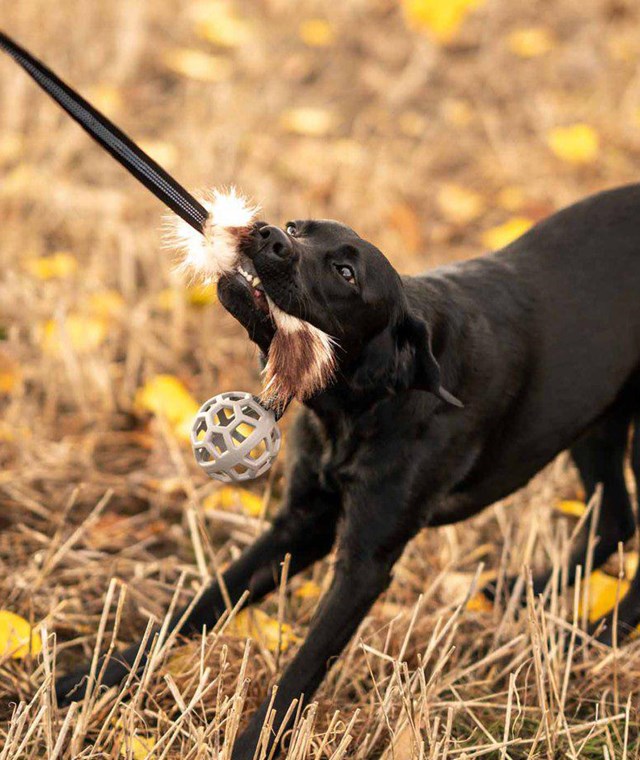 Play-n-tug kampleketøy med fuskpels og ball 65 cm