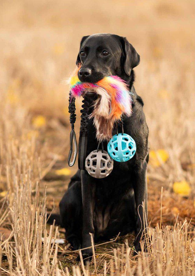 Play-n-tug Unicorn kampleketøy med fuskpels og ball 65 cm