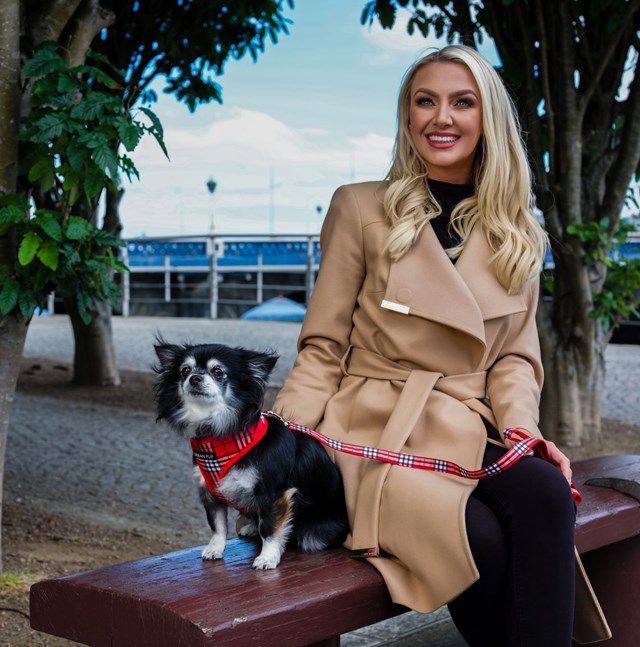 Red & White Plaid - Hundesele