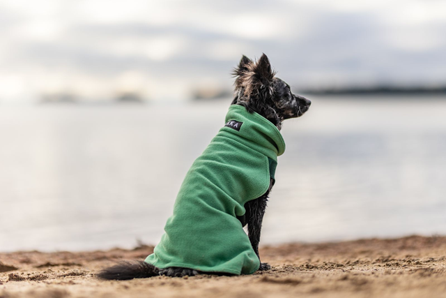 PAIKKA Seawool Shirt Green
