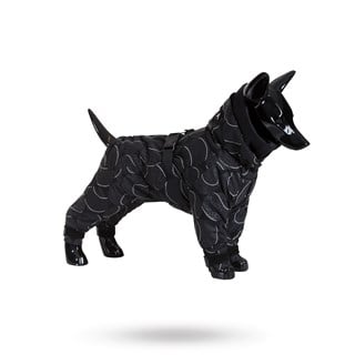 Paikka Winter Suit For Dogs - Black