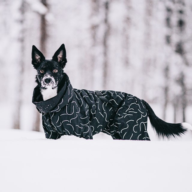Paikka Winter Suit for Dogs - BLACK