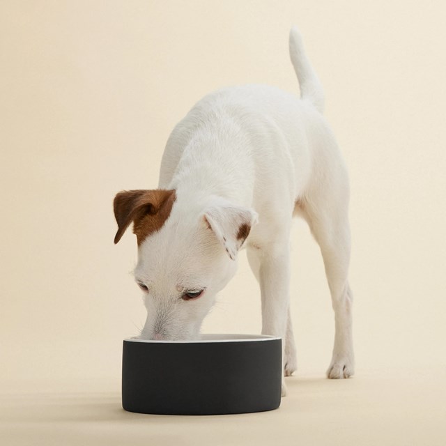 PAIKKA Slow Feed Bowl Black