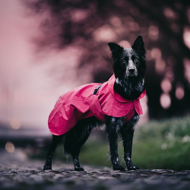 Paikka Visibility Raincoat - Hot Pink