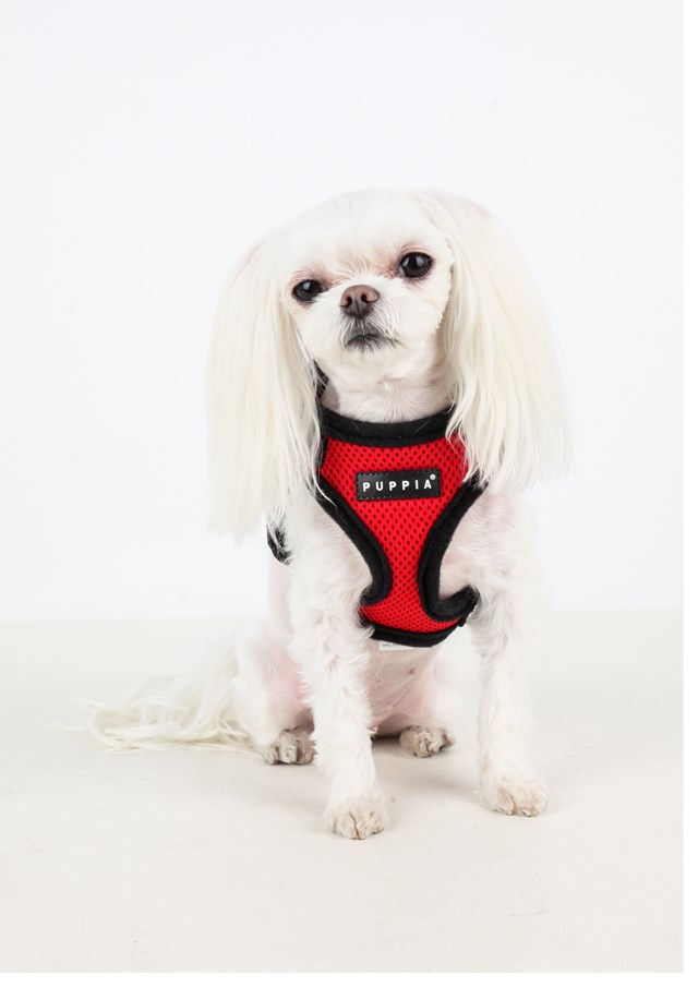 RITEFIT SOFT Red - Hundesele