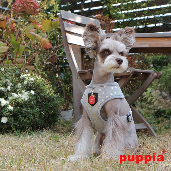 Modern Dotty Grey - Hundesele