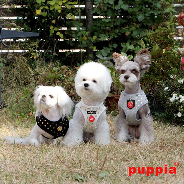Modern Dotty Grey - Hundesele