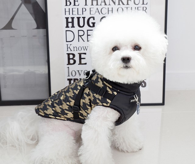 Dogstooth Black - Hundedekken med Integrert Sele