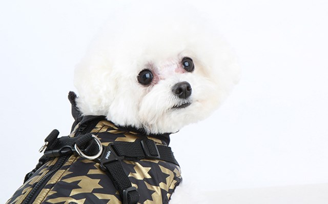 Dogstooth Black - Hundedekken med Integrert Sele