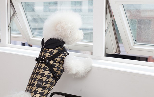 Dogstooth Black - Hundedekken med Integrert Sele
