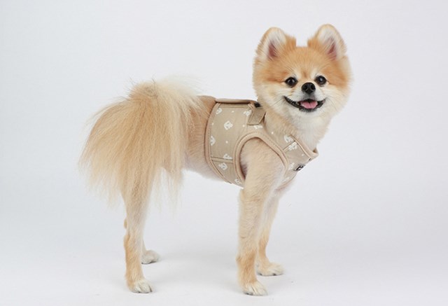 ERNEST Beige - Jacket Hundesele