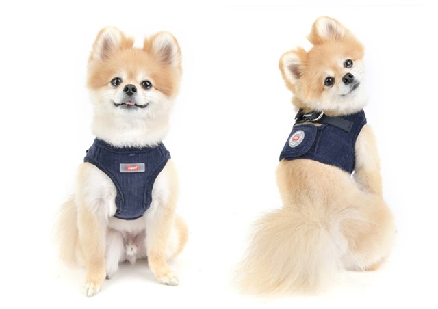 Classy Navy - Jacket Hundesele