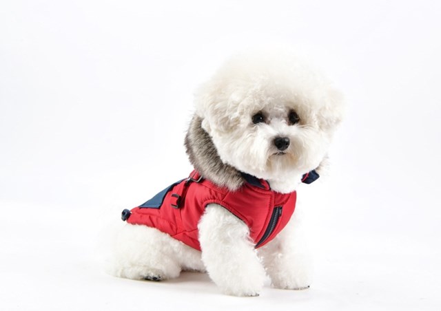 Orson Red/Navy - Hundedekken med Lue og Integrert Sele