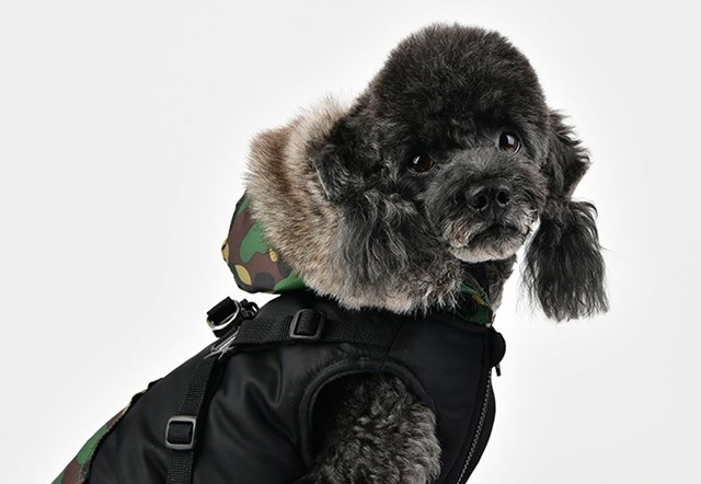Orson Black Camo - Hundedekken med Lue og Integrert Sele