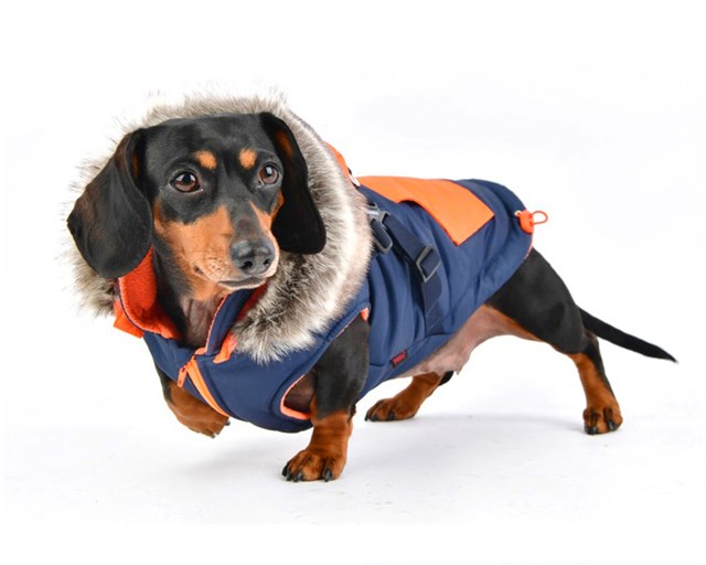 Orson Navy/Orange - Hundedekken med Lue og Integrert Sele