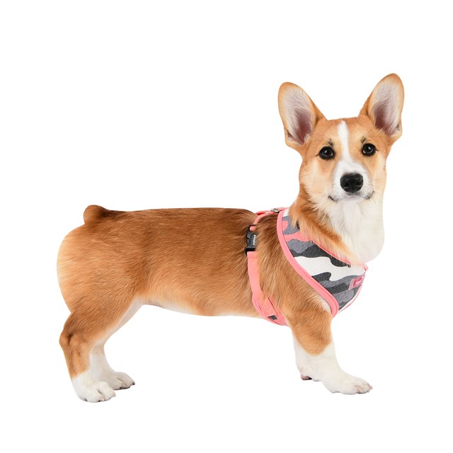 Ensign Pink Camo - Hundesele