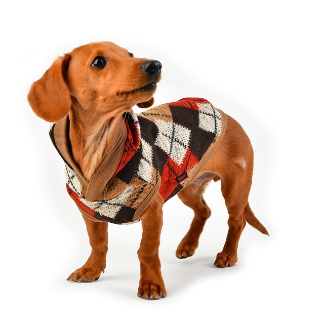 Jolly Beige - Strikket Hundegenser med Lue - Large