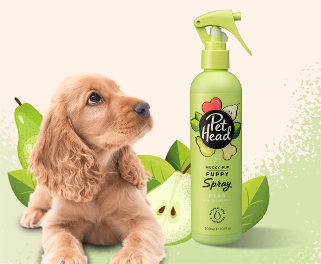 Pet Head Mucky Puppy Spray Tørrsjampo 300ml