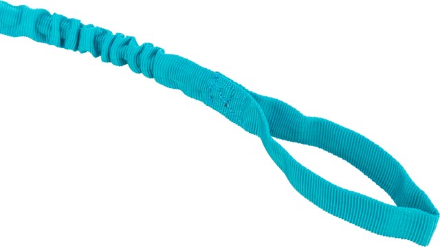 Bungee Rope for Tugging with Tennis Ball