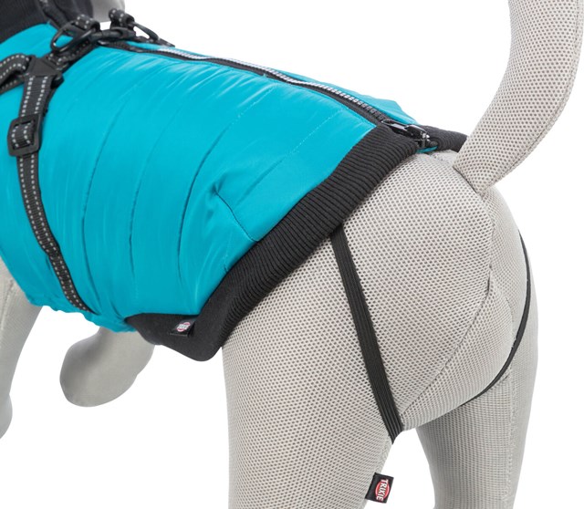 Pontis Dog Coat with integrated harness - Aqua