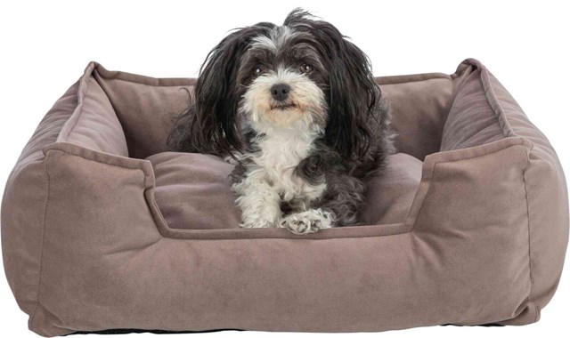 Talia Dog Bed - Brown